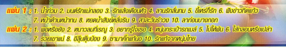 คาราโอเกะ - ถูกใจ ชุด 2 [2cd] VCD1739-web2